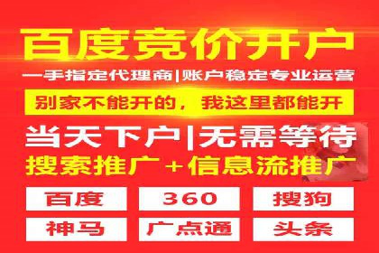 SEM代理案例：揭秘成功背后的秘密